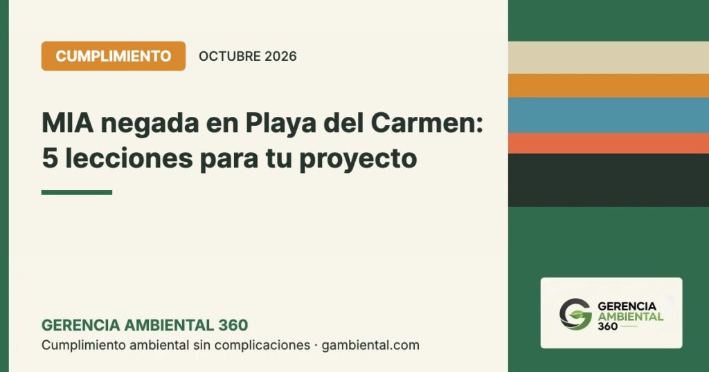 Portada: MIA negada en Playa del Carmen, 5 lecciones para tu proyecto
